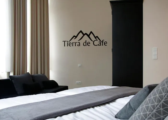 מלון Z&b טרייר